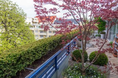 h-w_brunnen-bewaesserung-rasenbewaesserung-hausgarten-automatische